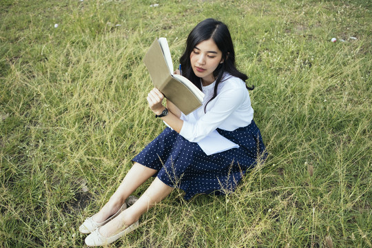 年轻的小说作家坐在草地上专心写书的女人。