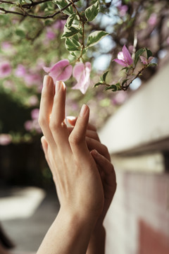 在公园里，情侣的手互相抚摸，鲜花盛开。闭合。