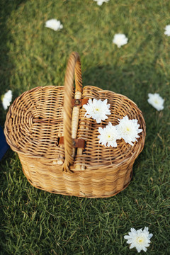 田野上的木篮和白色小花。