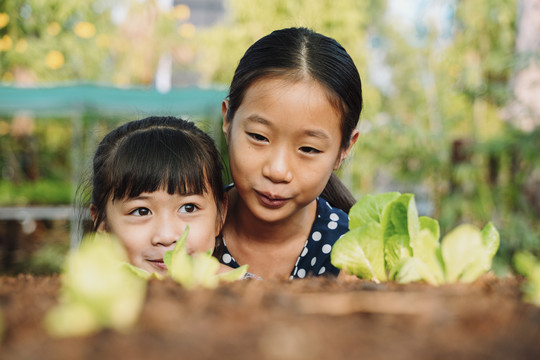 大姐在有机农场帮小妹妹种苗。生态活动。拯救世界。孩子喜欢蔬菜。