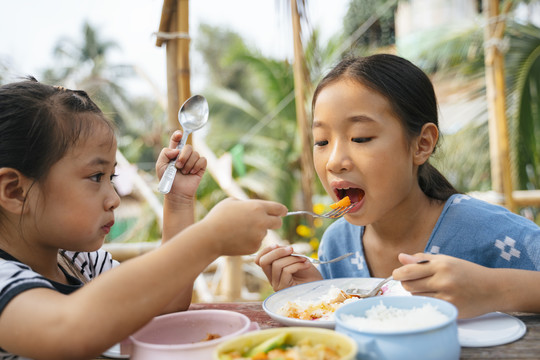 在乡下，一个亚洲小女孩正在用从平托到食品箱的食物喂她的妹妹。