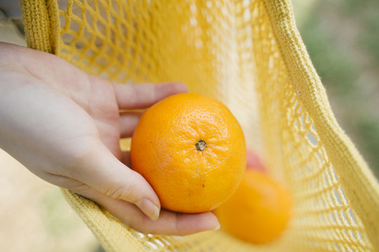 女孩从网袋里捡来的橙色剪短图像。