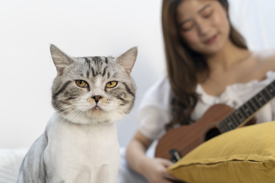 美丽的亚洲女子演奏四弦琴。猫听音乐。
