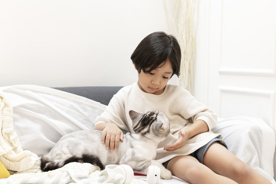 穿着白衬衫的可爱小男孩在客厅的沙发上和毛茸茸的猫玩耍。