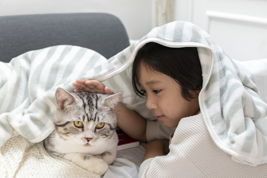 亚洲可爱的小男孩在毯子下面玩猫。