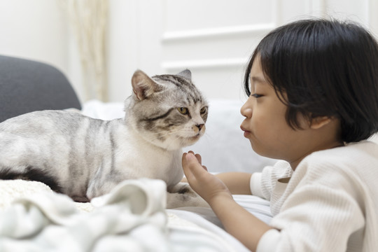 亚洲可爱的小男孩在沙发上亲吻毛茸茸的猫。