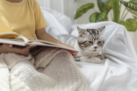 在沙发上看书给猫讲故事的男孩。和毛茸茸的猫一起读书。讲故事。