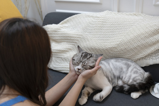 绒毛猫在沙发上休息。用猫的脸颊和它玩耍的女人。