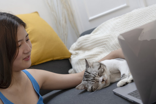 毛茸茸的猫在笔记本电脑前睡觉，阻止人类工作。