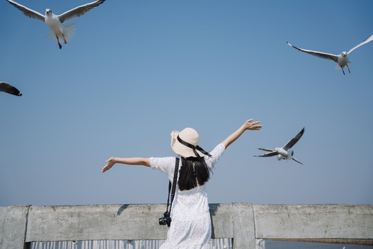 在海鸥迁徙的季节，长发白衣白帽女子站在码头上，欣赏蓝天上的鸟儿。
