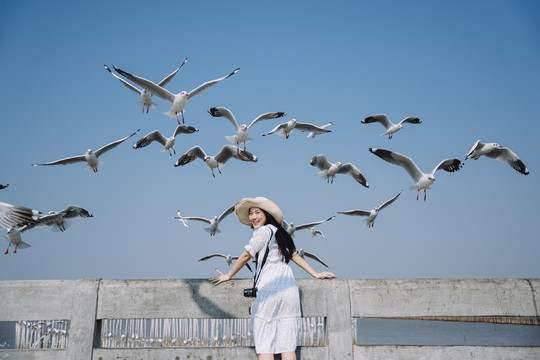 在海鸥迁徙的季节，长发白衣白帽女子站在码头上，欣赏蓝天上的鸟儿。