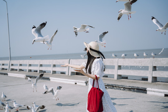 一位身穿白裙白帽的长发女子拿着红袋子，在码头上喂海鸥。