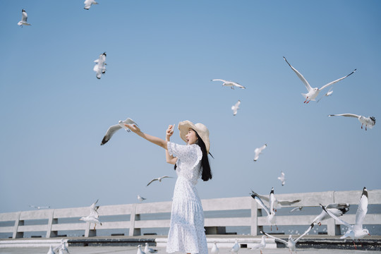 长发白衣白帽女子兴奋地用智能手机为迁徙季节的海鸥拍照。