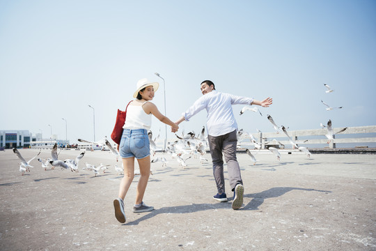 后景-亚泰夫妇在暑假里玩得很开心，他们手牵着手在海边散步，周围有很多海鸥。路过一群海鸥鸟。