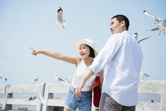 一对亚泰夫妇在海边大桥上欣赏观光，看着一群海鸥在他们周围飞翔。神奇的野生动物。