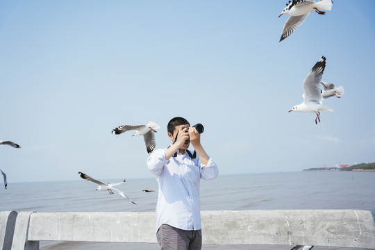 野生动物摄影师-一名男子用相机拍摄一群海鸥在海边飞来飞去。