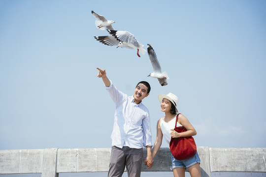 浪漫的亚泰情侣手牵手站在海桥上。一群海鸥飞来飞去。野生动物。
