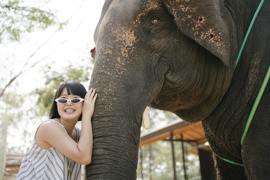 生态旅游——戴墨镜的美女抚摸和拥抱大象。