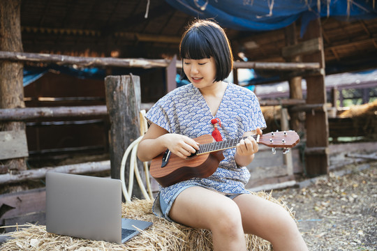 生态旅游-亚泰旅行者鲍勃发型女子在动物农场玩四弦琴吉他，看着笔记本电脑屏幕。乡下女孩。
