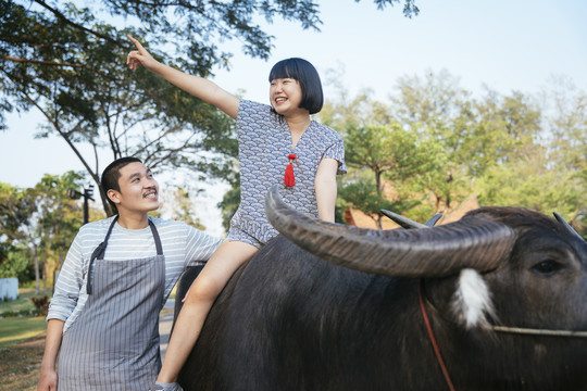 当地商务旅行者亚洲女人喜欢骑水牛。