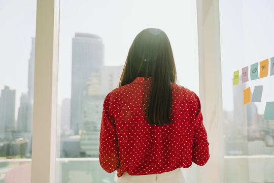 美丽的年轻亚泰女子红衫在城市背景的后视图。景观。