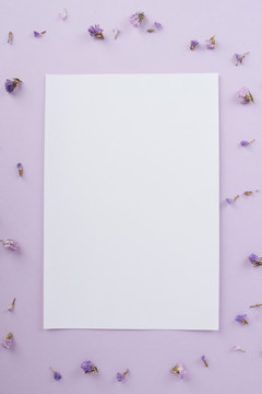 纸拷贝空间模型在淡紫色背景与薰衣草花。顶视图。