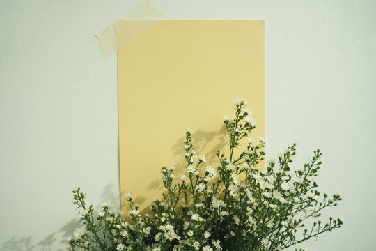 白色的吉普赛拉花，白色背景上有黄色的空白纸。顶视图。