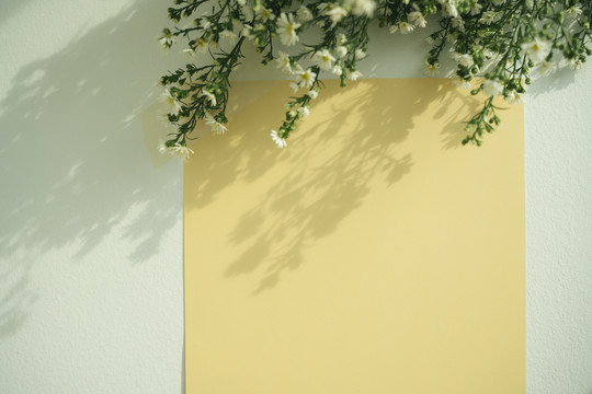 白色的吉普赛拉花，白色背景上有黄色的空白纸。顶视图。
