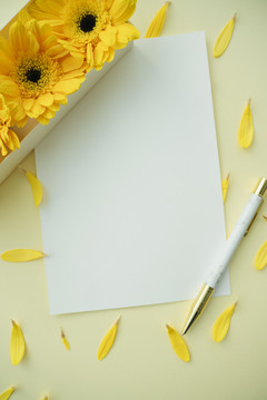 白纸模型和黄色向日葵和钢笔。复制空间。