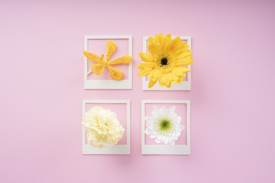 白色模型框架，粉色背景上有各种各样的花。顶视图。