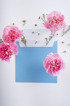 粉色花朵，蓝色模型，白色背景，附信。顶视图。