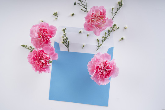 粉色花朵，蓝色模型，白色背景，附信。顶视图。