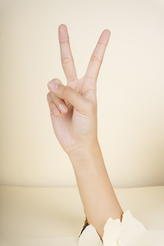 在白色背景上用两个手指发出胜利手势信号。