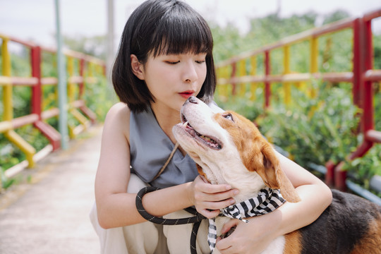 美丽的亚泰短发女子爱抚比格犬。遛狗。