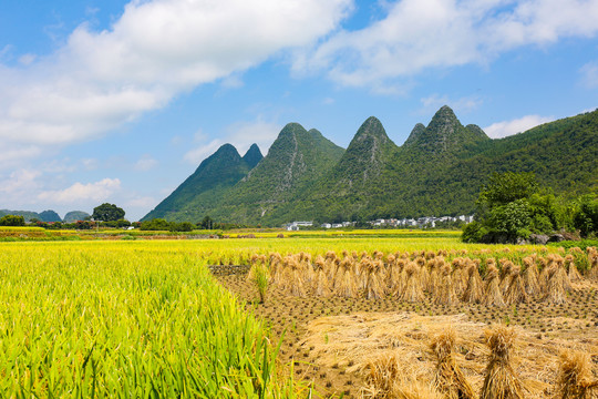 万峰林