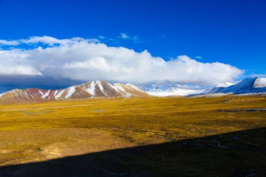 西藏雪景