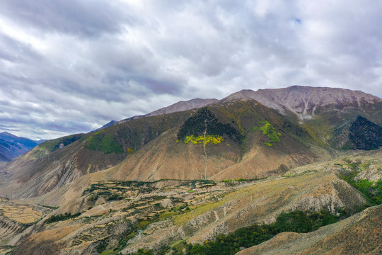 藏寨山村