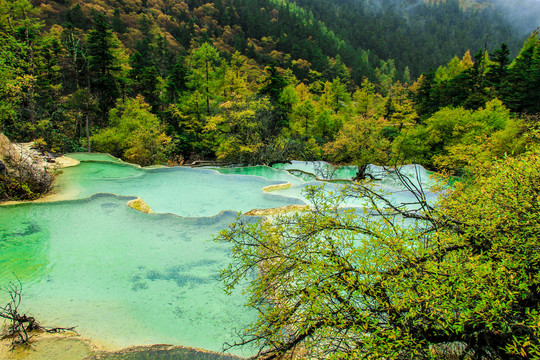 四川黄龙风景区