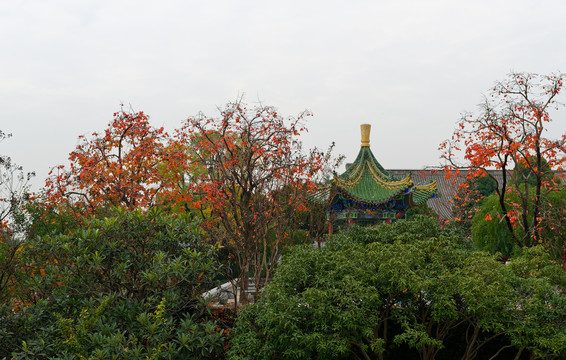 骊山风景