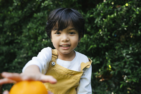 黑发亚洲小孩在院子里抱着橘子的画像。