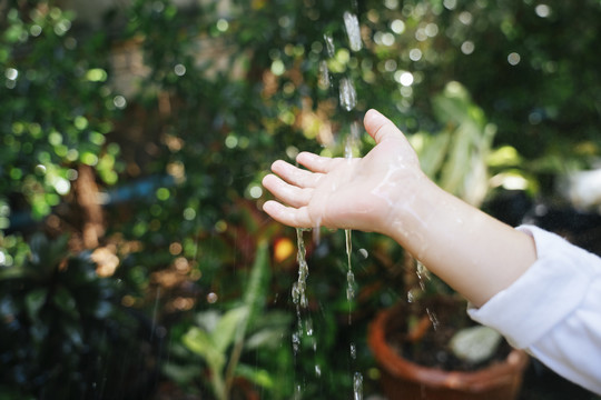 小孩子的手抚摸着花园里的雨滴。