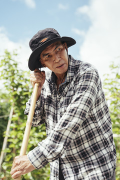 在一个农场里戴着帽子用铲子的亚洲老年农民。