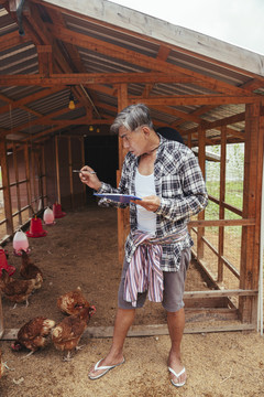亚洲老农在养鸡场检查蛋制品。