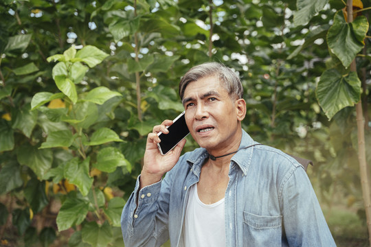 亚洲老年农民在农场工作时使用智能手机。