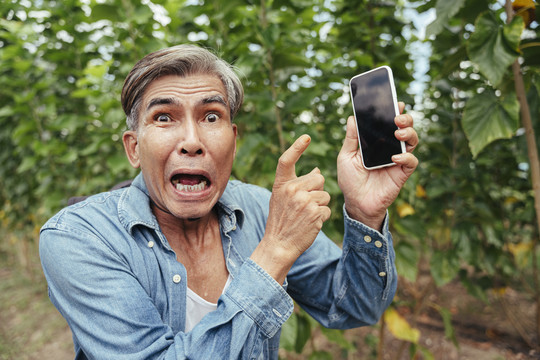 亚洲老年农场主在智能手机上显示空白屏幕，既惊讶又兴奋。复制空间。