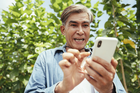 快乐的亚洲老年农民在农场使用智能手机。