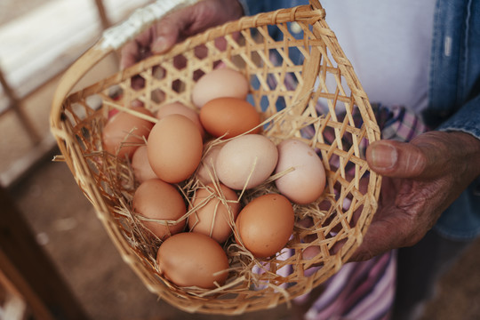特写：拿着有机蛋篮的亚洲老年农民。