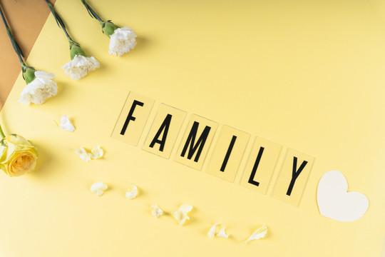 顶视图-浅黄色背景上有花的家庭单词。