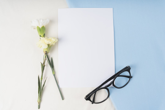 顶视图-蓝色和白色背景上带眼镜的模型的花和纸。