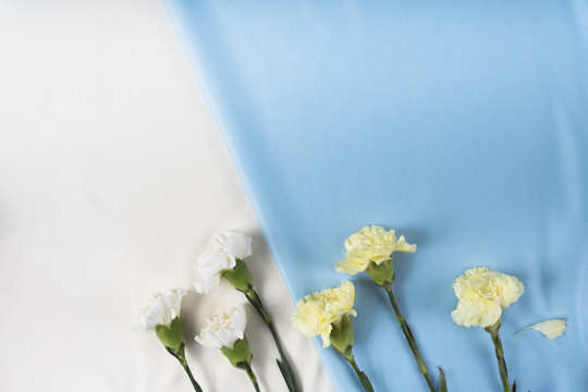 顶视图-蓝色和白色背景上的花和模型纸。